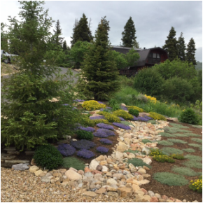 Groundcover with rock drainage