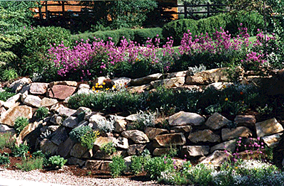 Landscaped rock wall with wildflowers